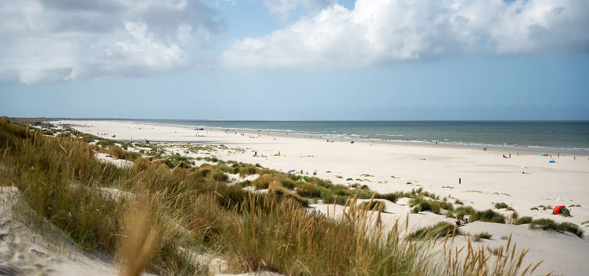 Strand ameland duinoord