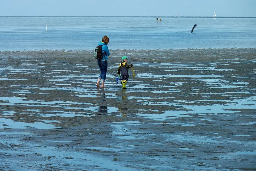 Wattwanderung ameland